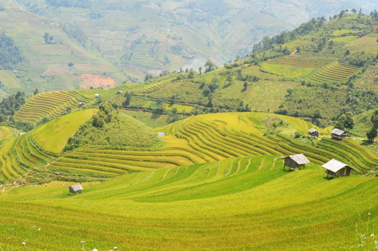 Mu Cang Chai Homestay & Trekking Buitenkant foto