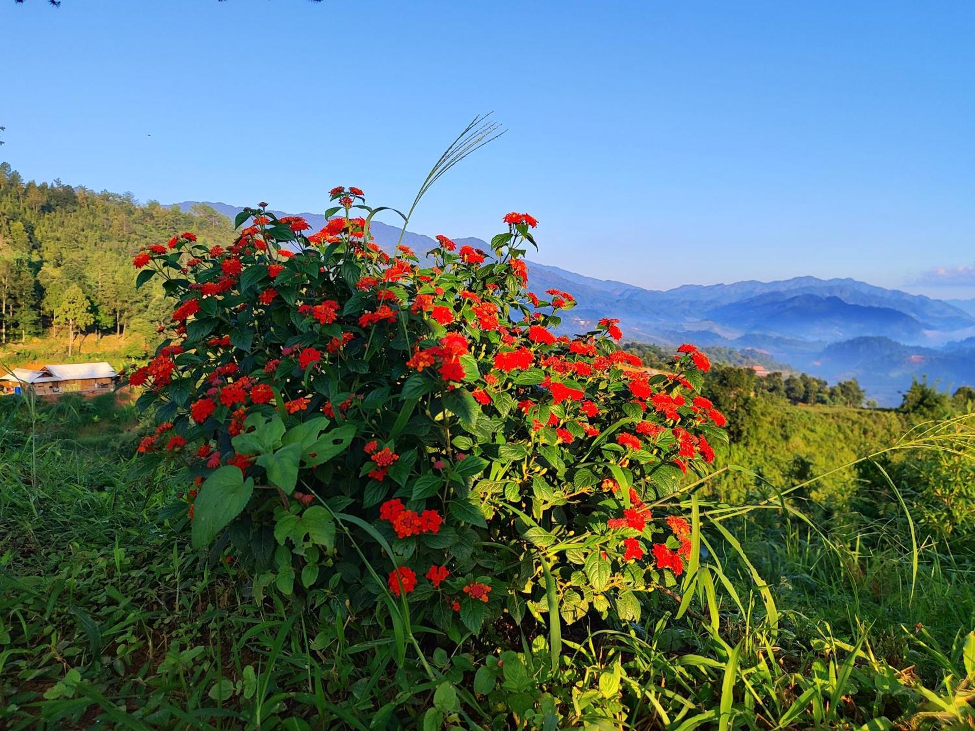 Mu Cang Chai Homestay & Trekking Buitenkant foto