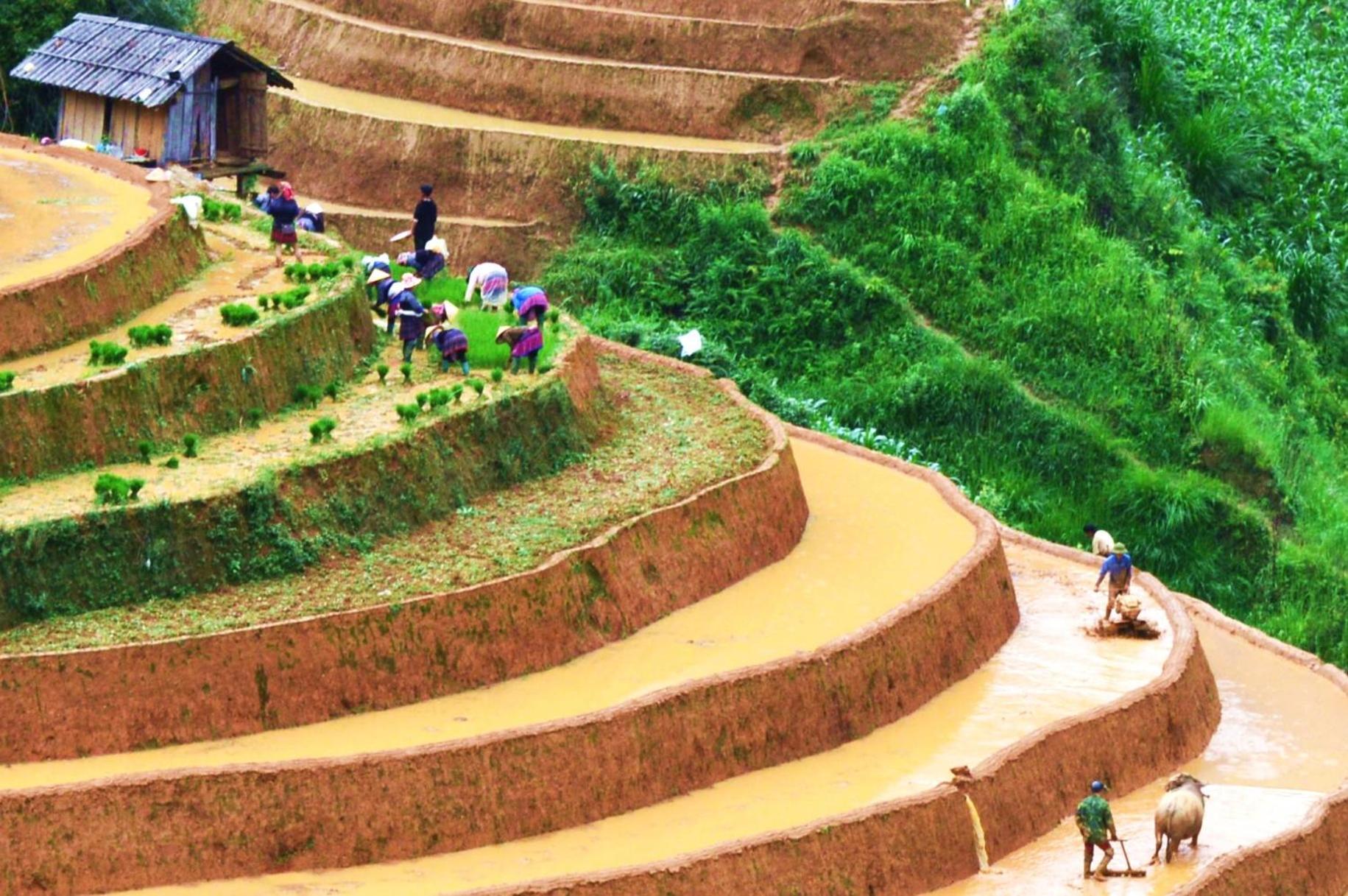 Mu Cang Chai Homestay & Trekking Buitenkant foto